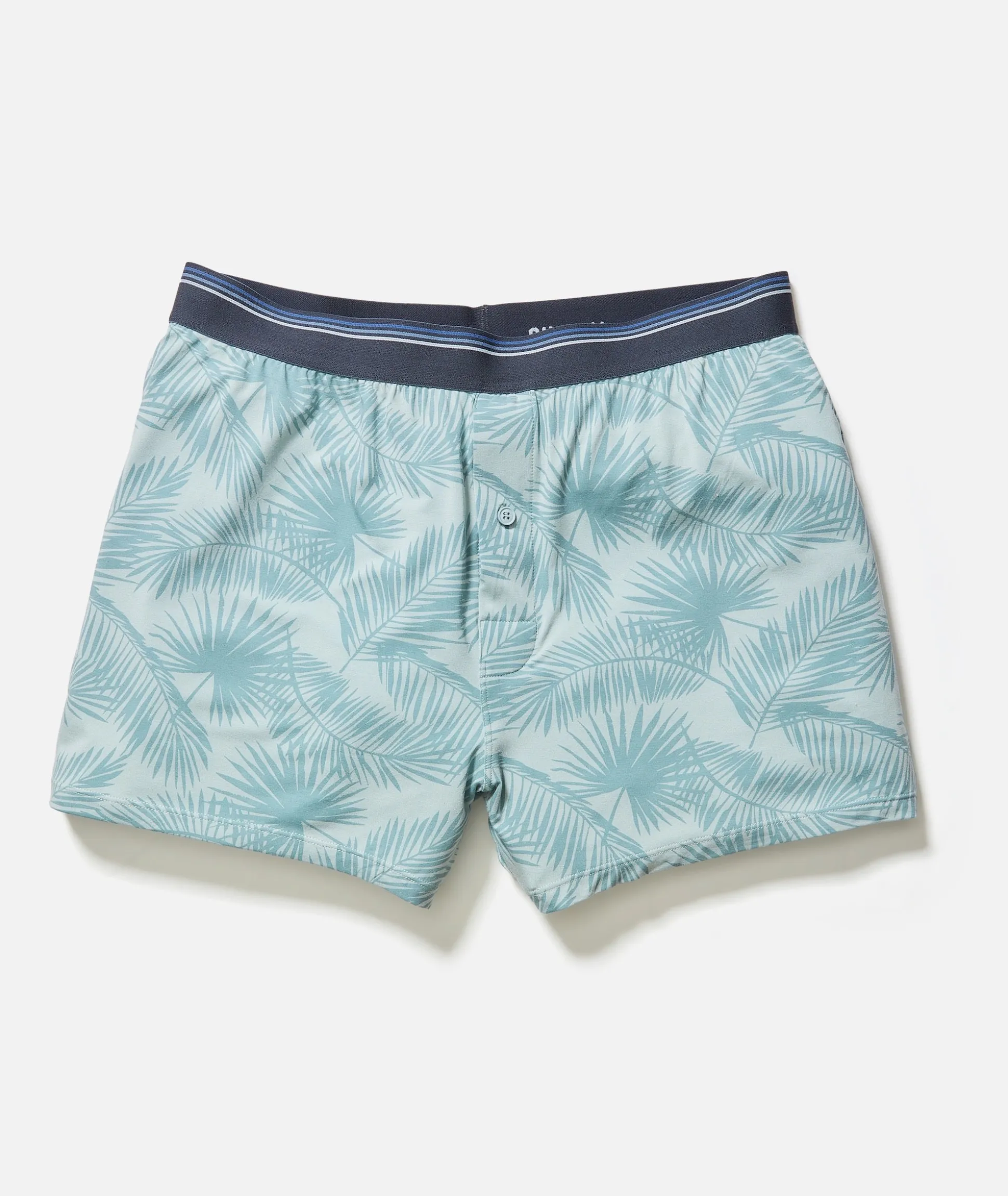 Best Boxers Ever