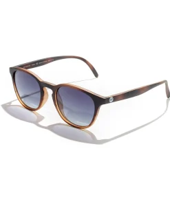 Sunski Yuba in Tortoise Ocean